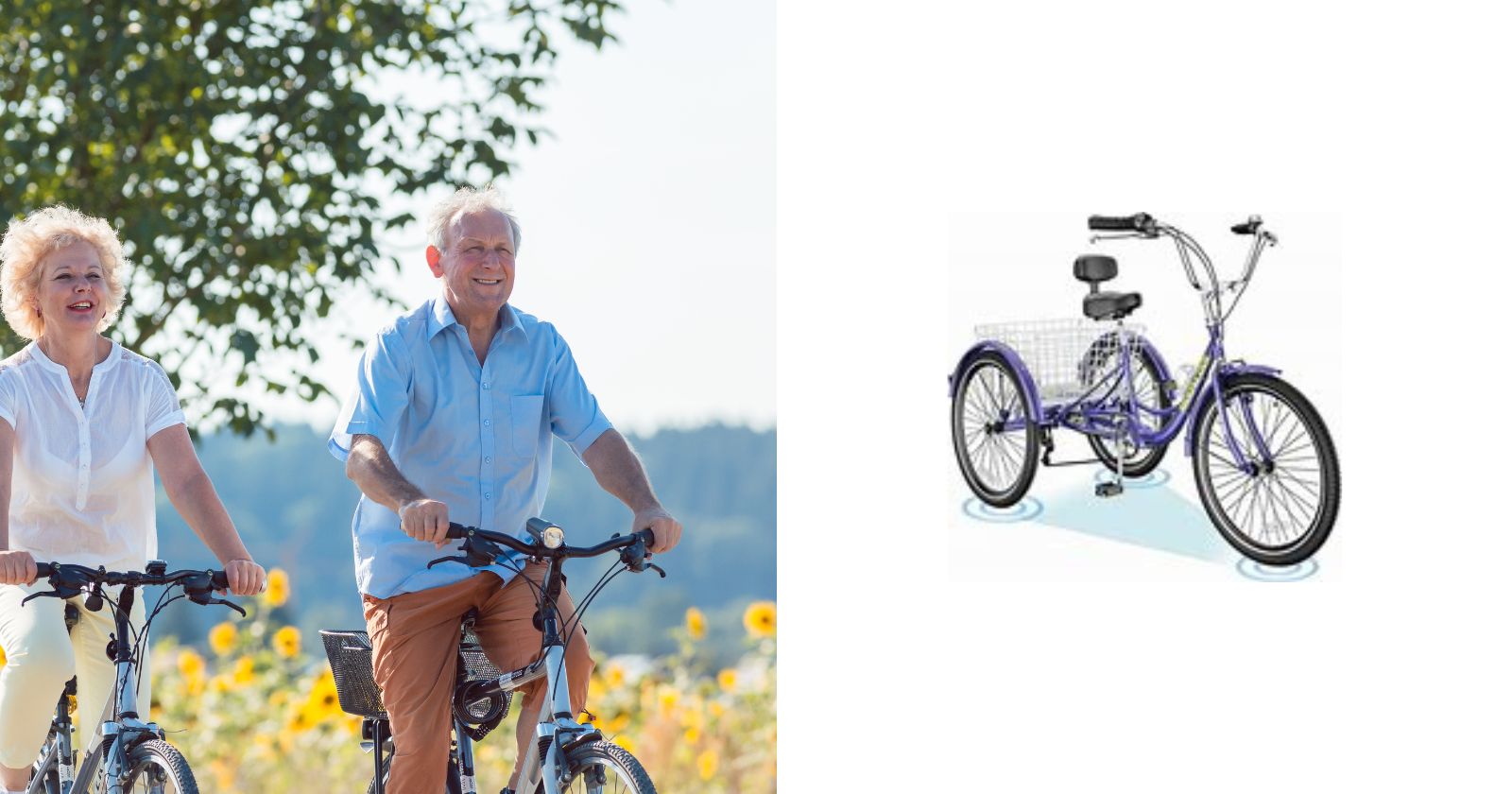 Slys Adult Tricycle Review