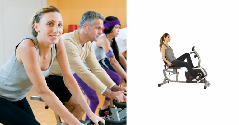 Sunny Health and Fitness Recumbent Bike Review