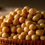 Benefits For Soy Beans For The Elderly