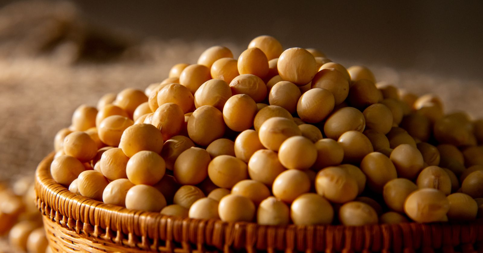 Benefits For Soy Beans For The Elderly