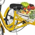Best Adult Tricycles For Seniors