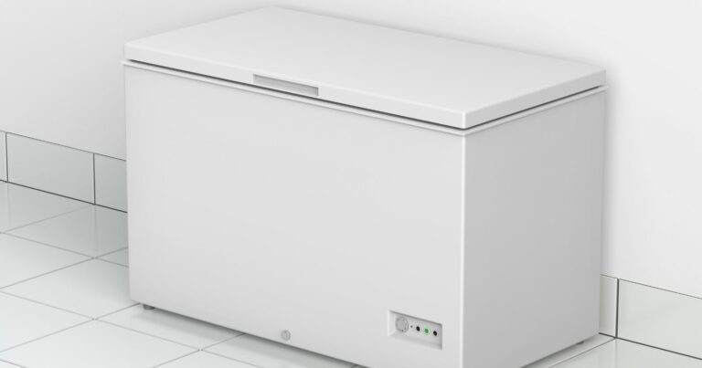 3 Best Chest Freezers For Seniors In 2024