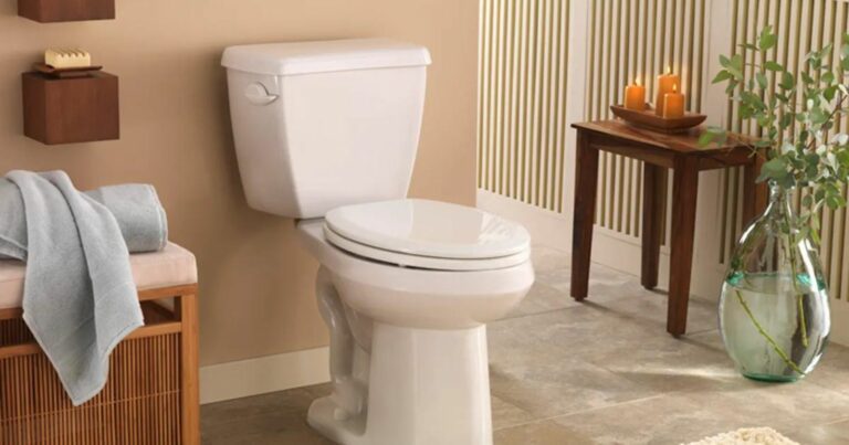 The 3 Best Tall Toilets For Seniors (What to Look For)