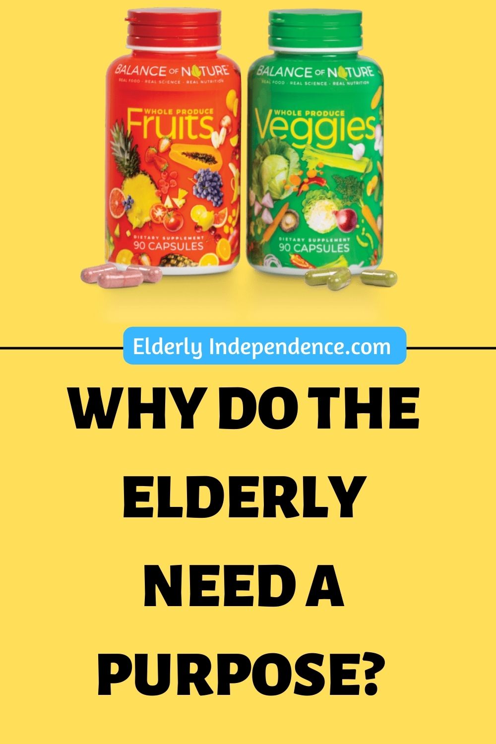 Why Do The Elderly Need A Purpose? Elderly Independence
