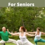 3 Best Tai Chi DVDs for Seniors Review