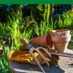 3 Best Garden Stools For Seniors