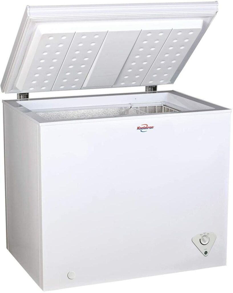 3 Best Chest Freezers For Seniors In 2024 Elderly Independence