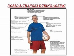 Age-Related Physical Changes