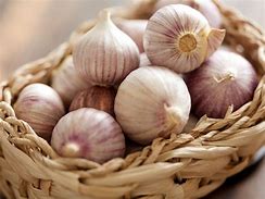 Benefits of Garlic For The Elderly - Garlic