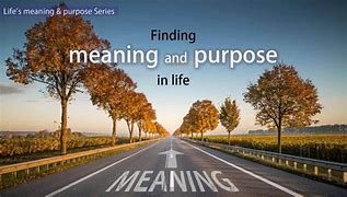 Finding meaning and purpose after loss