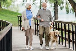 Simple Exercises For Seniors